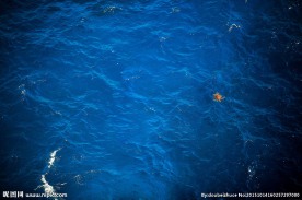 海水 大海