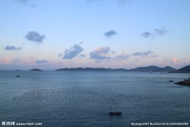 枸杞岛的清晨