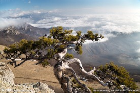 克里米亚风景