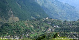 半山
