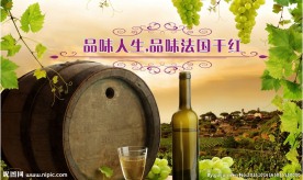 葡萄酒
