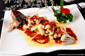 松花鱼鲫