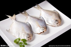 美食摄影