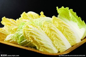 大白菜