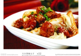 大白菜烧子