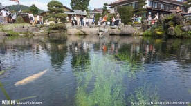 忍野四海