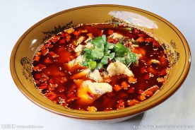 天府沸腾鱼好
