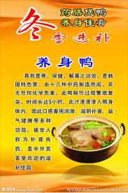 养身鸭