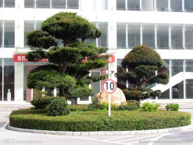 园艺