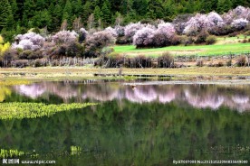 川藏林芝风景