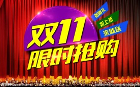 双11抢购