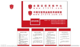 征信 背景墙 制度