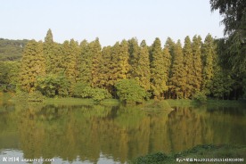 山水风光图片