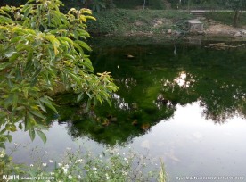 河水风光图图片