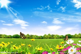 蓝天白云绿草地