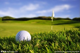 高尔夫球近景
