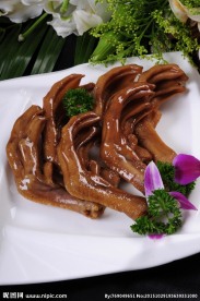 卤水鹅掌