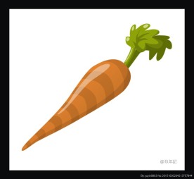 胡萝卜 蔬菜 食品 新鲜 健康