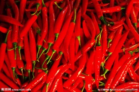 红辣椒
