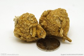 丽江玛咖 玛卡 马卡 maka