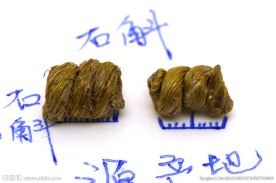 石斛 石斛卷 石斛风斗 养生石
