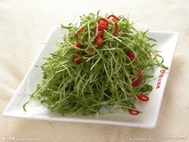 线椒松柳芽