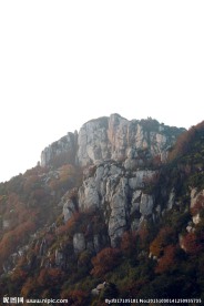 泰山