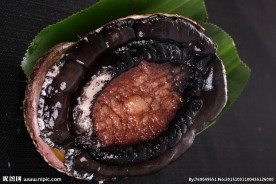 大连白鲍