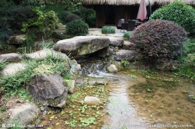 池塘 水潭 大石头