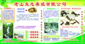老山生态养殖板报
