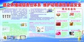 食品安全板报