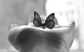 手掌蝴蝶黑白摄影