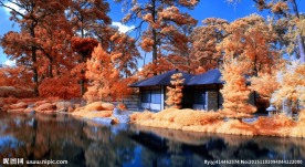 日本湖边庭院