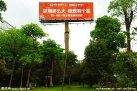 城市风光 树荫恋人