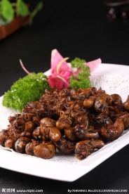 香煎金蝉