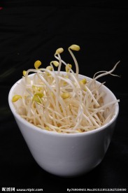 豆芽