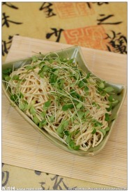 豆丝香椿苗