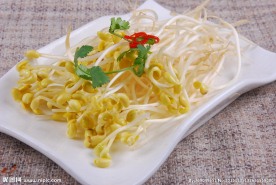 豆芽
