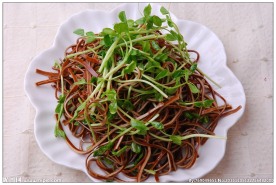 豆苗黑豆丝
