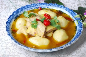土豆烧鹅