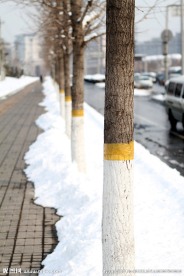 街道