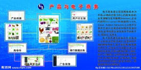 产品与电子商务