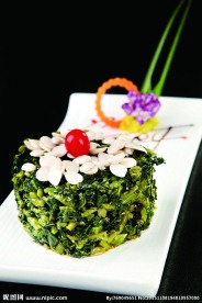 钱塘江野菜