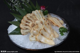松茸菌姿造鲍海湾