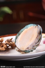松茸烤鲜鲍