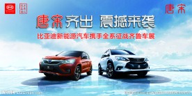 比亚迪新能源
