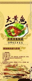 黄鱼宣传册