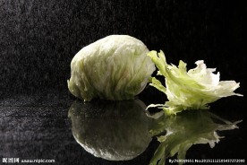 西生菜