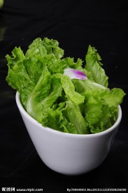 生菜
