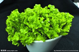 生菜